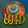 enchanted lot wild symbol icon