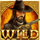 eternal desire wild3 symbol icon