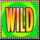 everybodys jackpot wild symbol icon