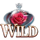 fairytale beauties 2 wild 2 symbol icon