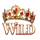 fairytale beauties 2 wild symbol icon