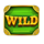 fanduel express wild symbol icon