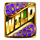 fast fruits doublemax wild 2 symbol icon