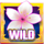 feng li dragon wild symbol icon