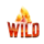 fiery slots cash mesh wild symbol icon