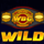 fight night wild symbol icon