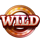 fire gnomes 2 magic wheel wild 2 symbol icon