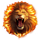 fire lion 2 wild scatter symbol icon