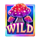 fishin pots of gold gold blitz wild symbol icon