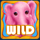 fluffy favourites cash collect wild symbol icon