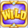 fortune cash wild symbol icon