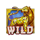 fortune coin charm wild symbol icon
