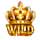 fortune crown gold gift wild 2 symbol icon