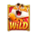 fortune tiger wild symbol icon