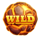 frontier gold cash pool wild 1 symbol icon