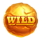 frontier gold cash pool wild 2 symbol icon