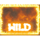 frozen inferno wildfire symbol icon