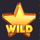 fruit cash wild symbol icon