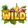fruit heaven hold and win wild symbol icon