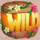 fruit shifter wild symbol icon