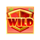 fruitillionaire wild 1 symbol icon