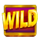 fruits cash wild symbol icon