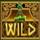 gates of midsummer fusion reels wild symbol icon