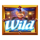 genie jackpots even more wishes wild symbol icon