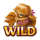 genies link and win 4tune wild symbol icon