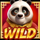 go high panda symbol wild icon