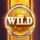 gods of troy megaways wild symbol icon