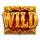gods vs warriors wild symbol icon