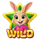 golazo animal wild symbol icon