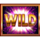 gold cash free spins super wheel wild symbol icon