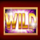 gold cash wild symbol icon