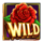 gold trio mariachi bonanza wild symbol icon