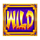 golden beauty wild symbol icon