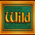 golden book wild symbol icon