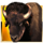 golden buffalo wild symbol icon