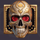 golden skulls wild symbol icon