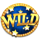 golden wheel wild symbol icon