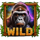 gorilla fury hold and hit wild symbol icon