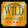 grand express action class wild symbol icon