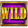 grand money wild symbol icon