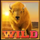 great golden buffalo wild symbol icon