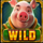greedy fortune pig wild 1 symbol icon