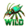 hacker crash jackpot wild symbol icon