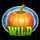halloween charms wild symbol icon