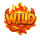 hell cash wild symbol icon