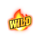 hell hot 20 wild symbol icon